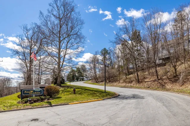 a view of backyard with tall trees