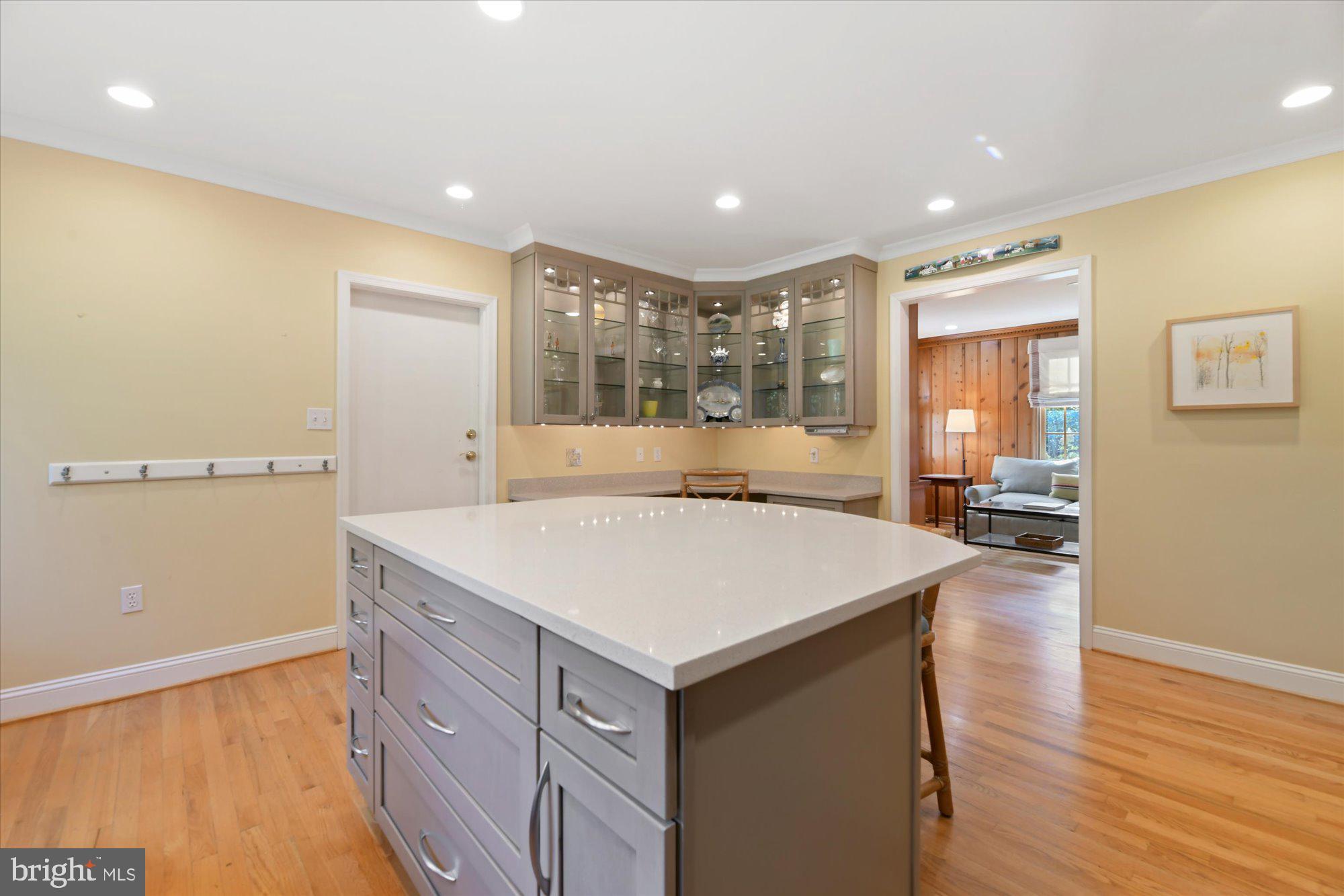 102 Castlewood Road Baltimore, MD 21210 - Photo 19 of 74 Handy island with quartz countertop