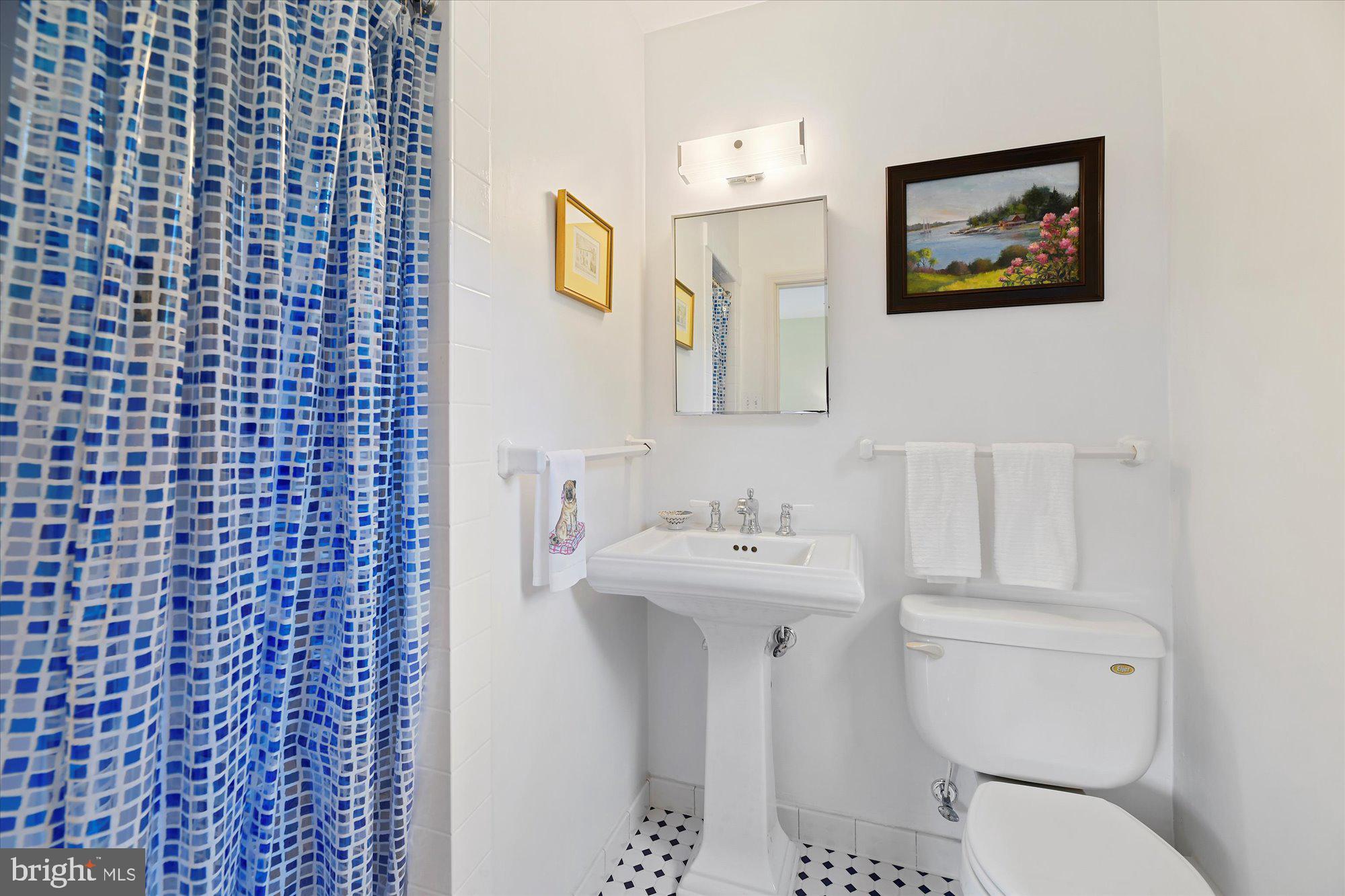 102 Castlewood Road Baltimore, MD 21210 - Photo 50 of 74 Adjoining bath