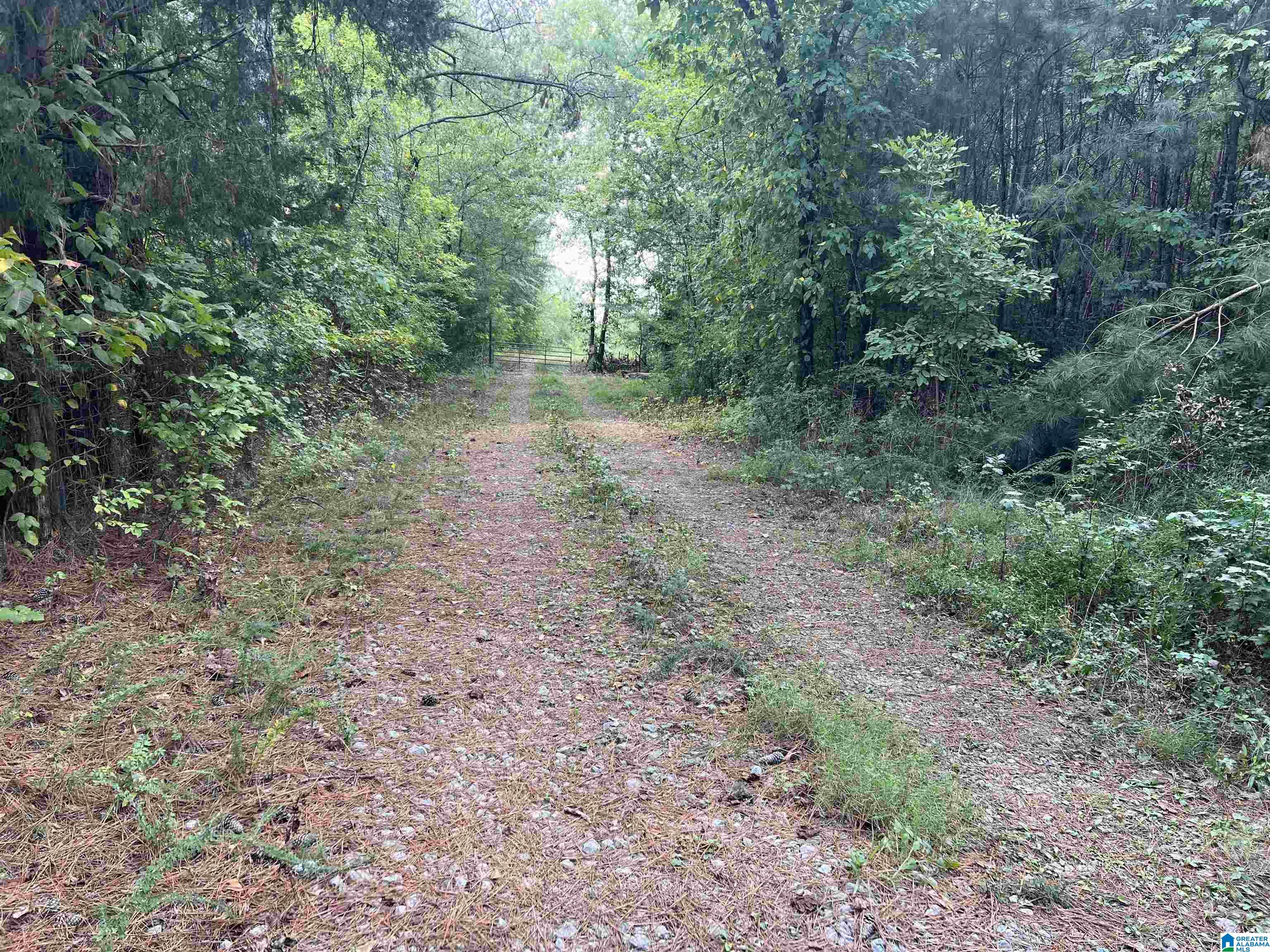 0 Sweatt Road Steele, AL 35987 - Photo 2 of 11
