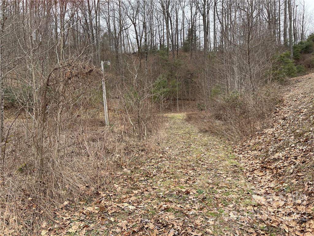 1 Nancy Mountain Road Rosman, NC 28772 - Photo 1 of 13 Gallery Image 1