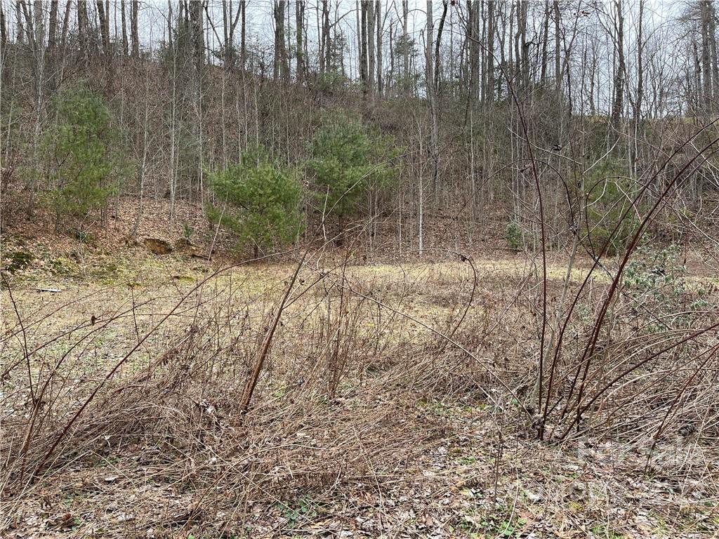 1 Nancy Mountain Road Rosman, NC 28772 - Photo 13 of 13 Gallery Image 13