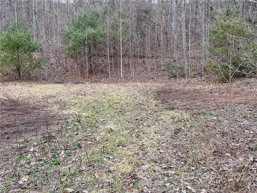 1 Nancy Mountain Road Rosman, NC 28772 - Photo 2 of 13 Gallery Image 2