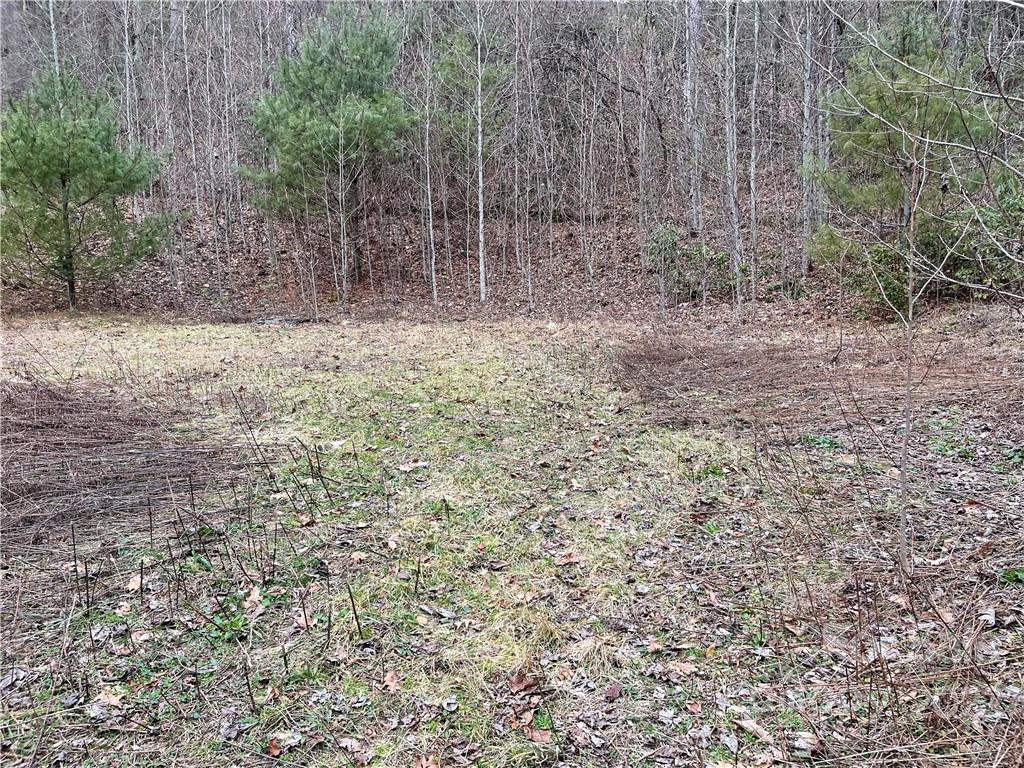 1 Nancy Mountain Road Rosman, NC 28772 - Photo 3 of 13 Gallery Image 3