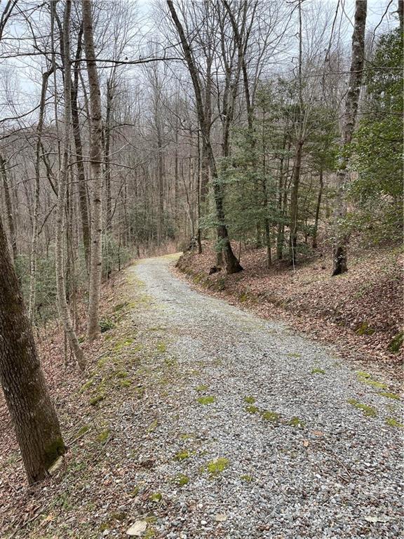 1 Nancy Mountain Road Rosman, NC 28772 - Photo 5 of 13 Gallery Image 5