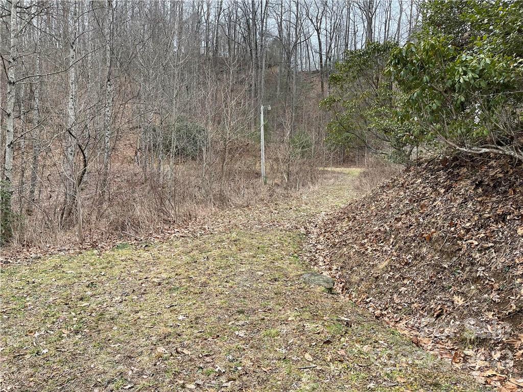 1 Nancy Mountain Road Rosman, NC 28772 - Photo 6 of 13 Gallery Image 6