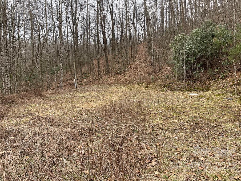 1 Nancy Mountain Road Rosman, NC 28772 - Photo 7 of 13 Gallery Image 7