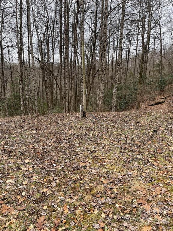 1 Nancy Mountain Road Rosman, NC 28772 - Photo 8 of 13 Gallery Image 8