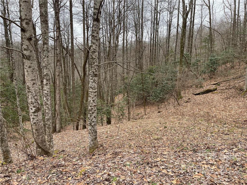 1 Nancy Mountain Road Rosman, NC 28772 - Photo 9 of 13 Gallery Image 9