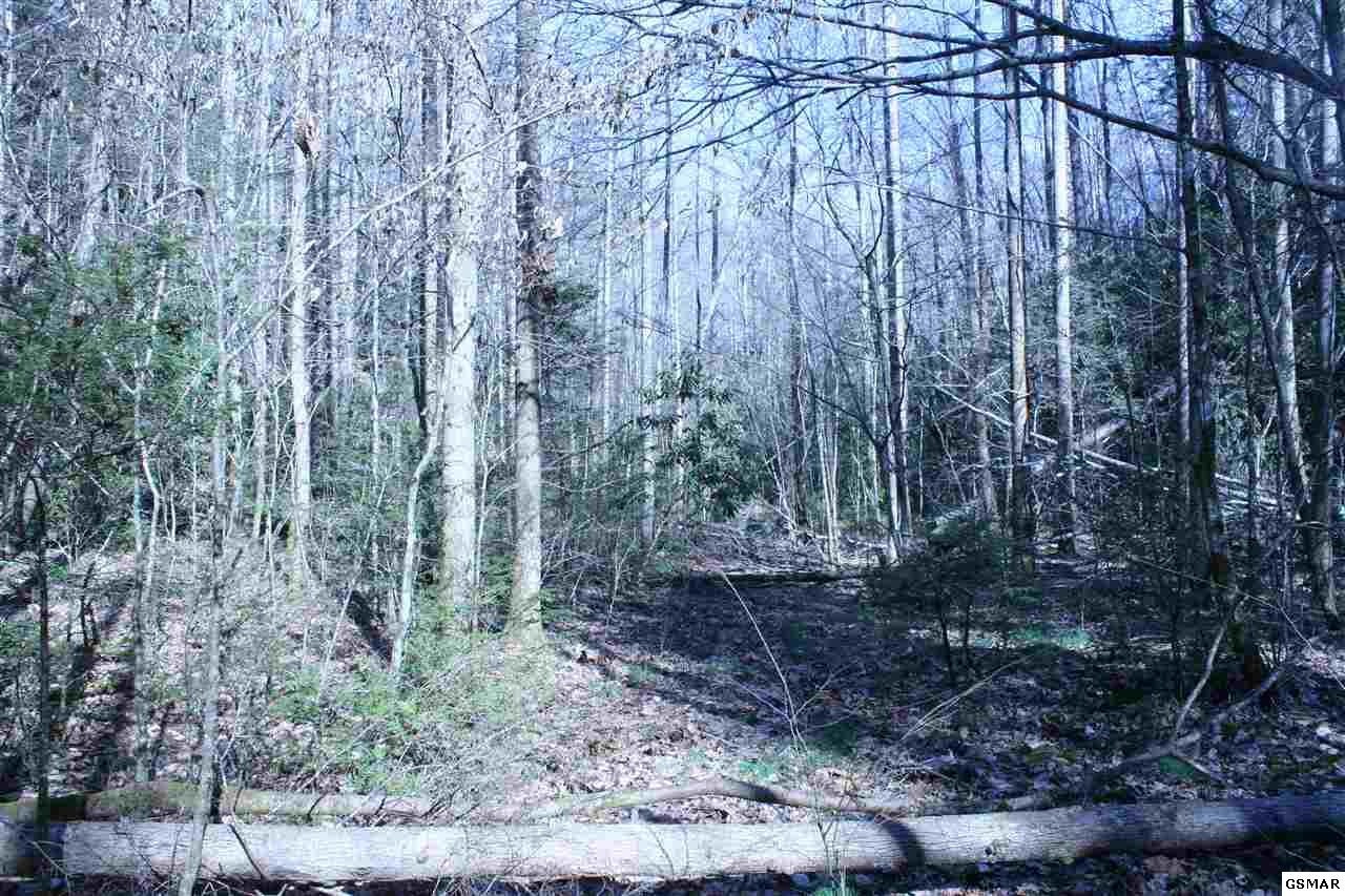 0 Ball Hollow Road Cosby, TN 37722 - Photo 32 of 36 Gallery Image 32
