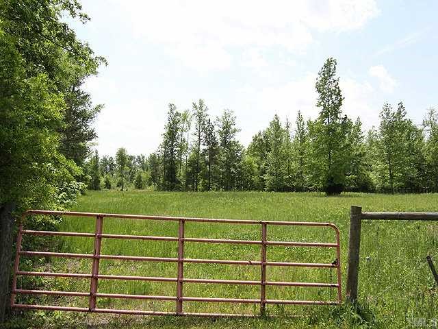 5290 Hurdle Mills Road Roxboro, NC 27574 - Photo 23 of 25 More pasture.