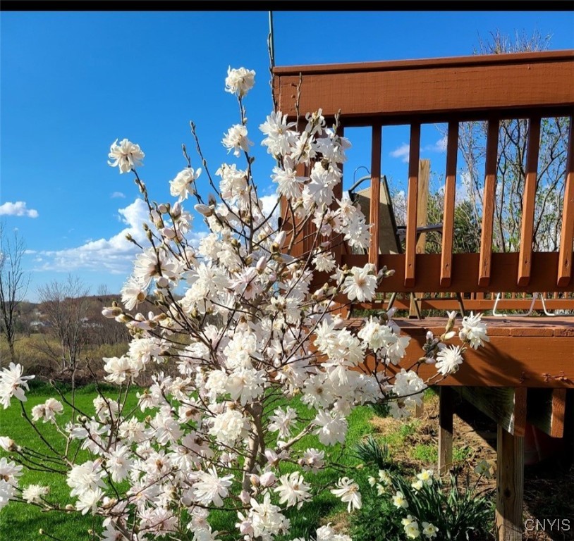 105 County Rte 4 Hastings, NY 13036 - Photo 24 of 46