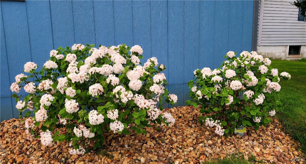 105 County Rte 4 Hastings, NY 13036 - Photo 32 of 46