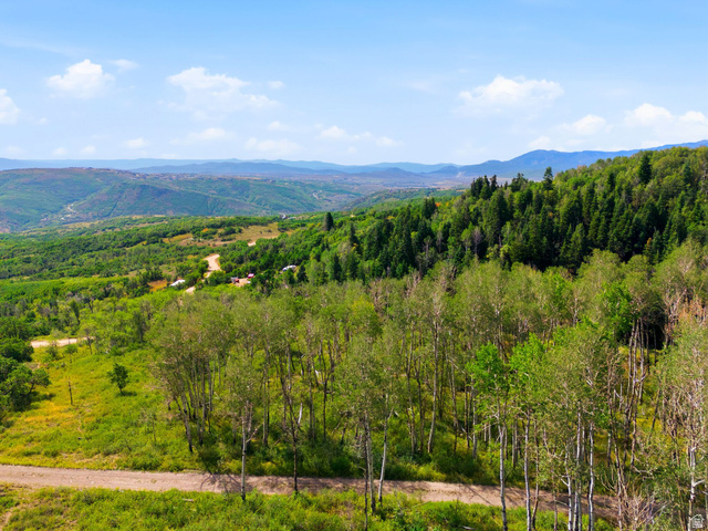 3044 South Frst Mdw Road Coalville, UT 84017 - Photo 1 of 26 Expansive mountain landscape with diverse tree coverage, including deciduous and evergreen varieties, and beautiful mountain vistas