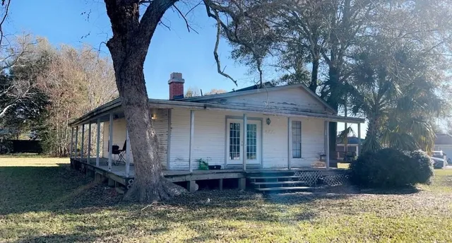 a view of room with wooden floor and a potted plant