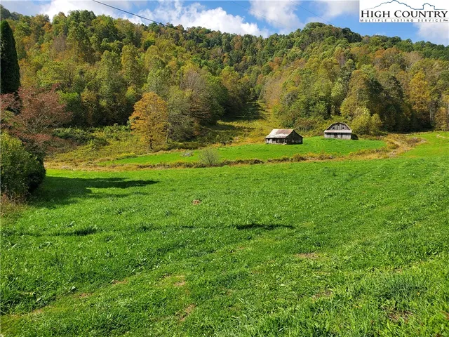 a view of a lush green field