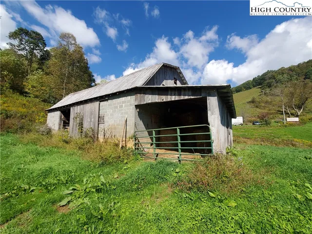 a view of a yard with plants and a bench