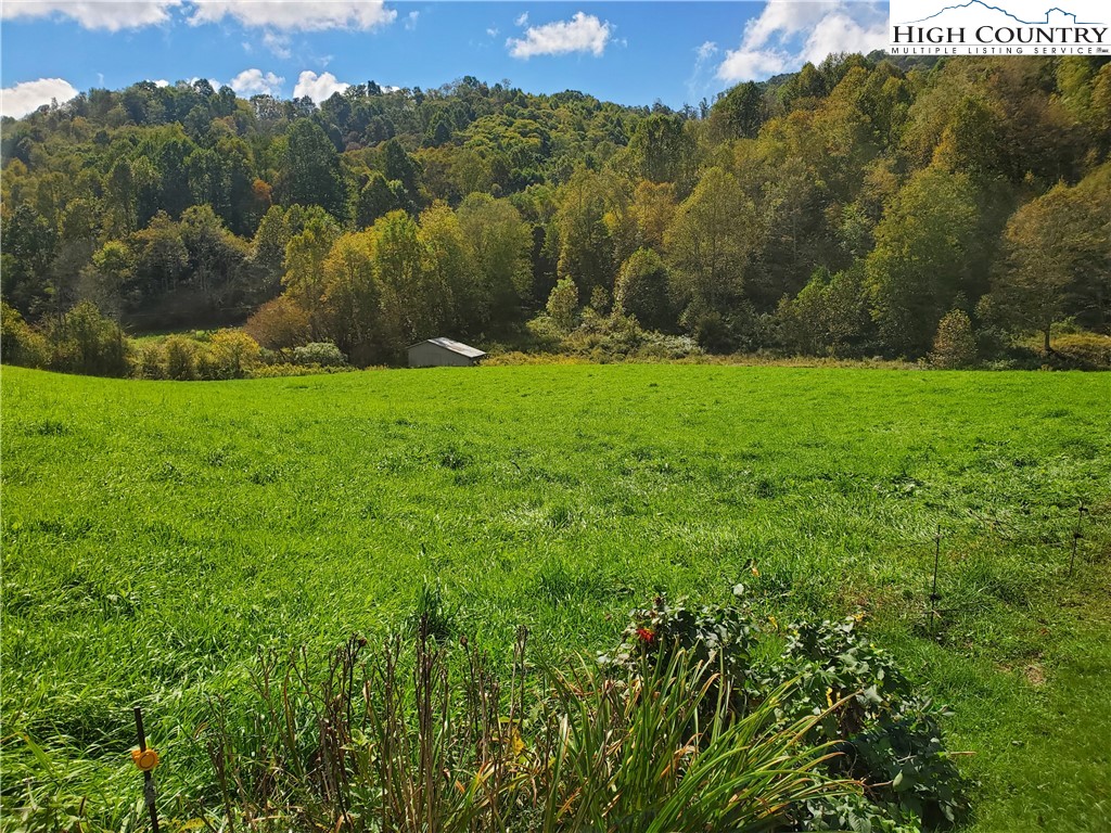 1411 Cabbage Creek Road Creston, NC 28615 - Photo 28 of 41 a view of a yard with an trees