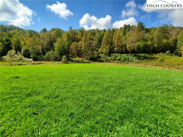 a view of a grassy field with trees in the background