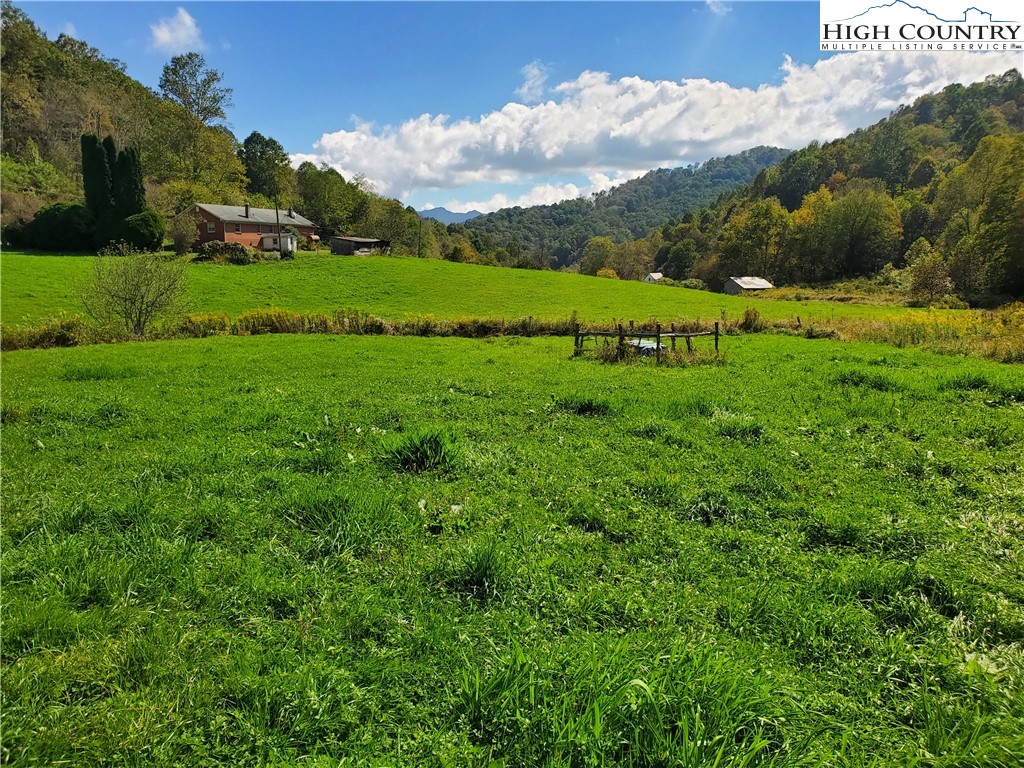 1411 Cabbage Creek Road Creston, NC 28615 - Photo 3 of 41 a view of a lush green field