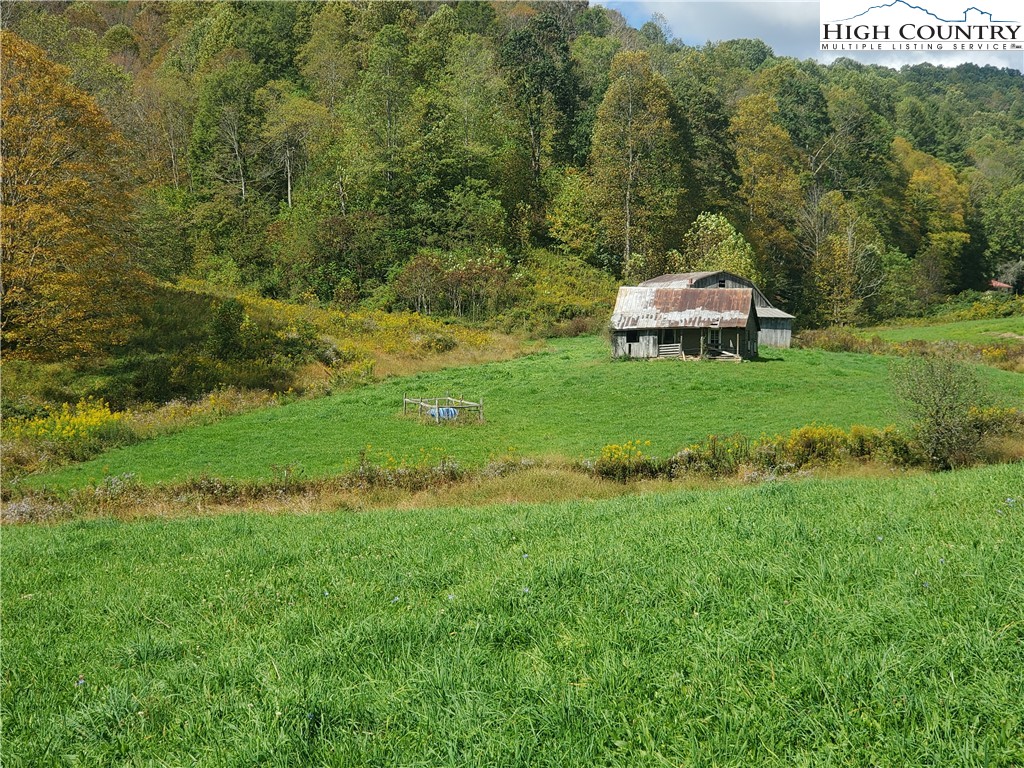 1411 Cabbage Creek Road Creston, NC 28615 - Photo 31 of 41 a view of a tiny house with a yard