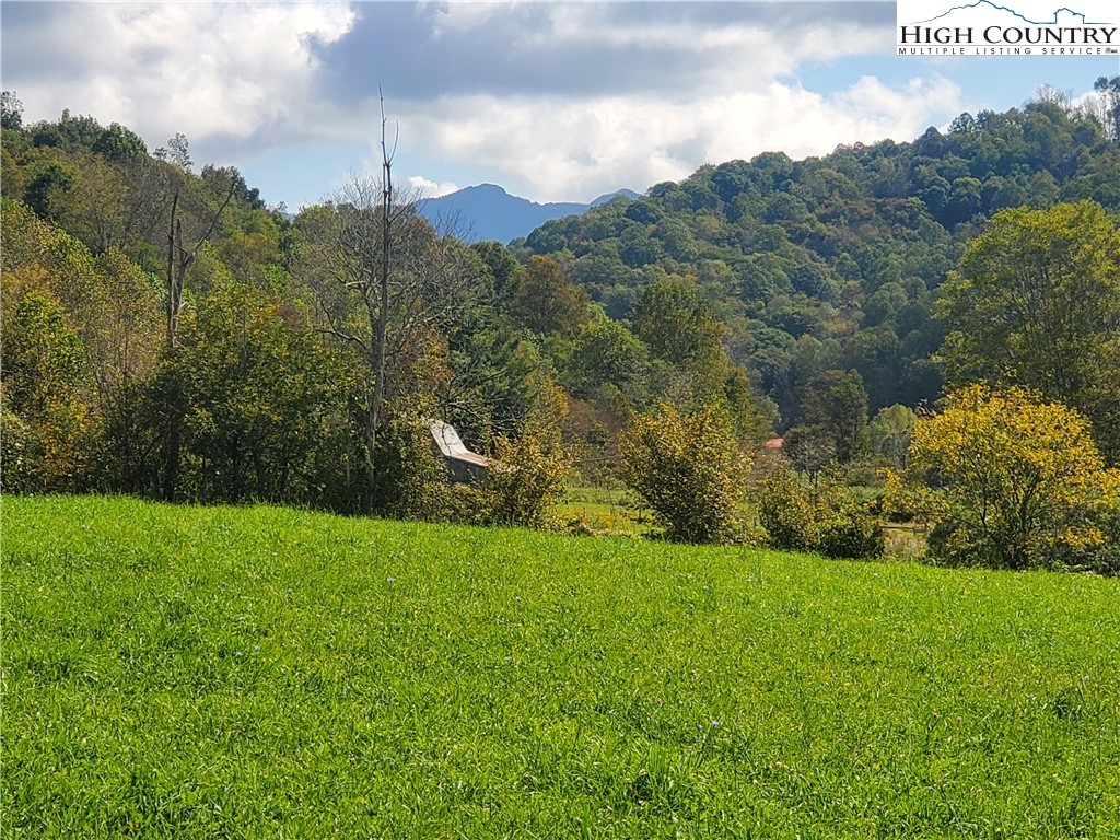 1411 Cabbage Creek Road Creston, NC 28615 - Photo 32 of 41 a view of a grassy field with trees in the background