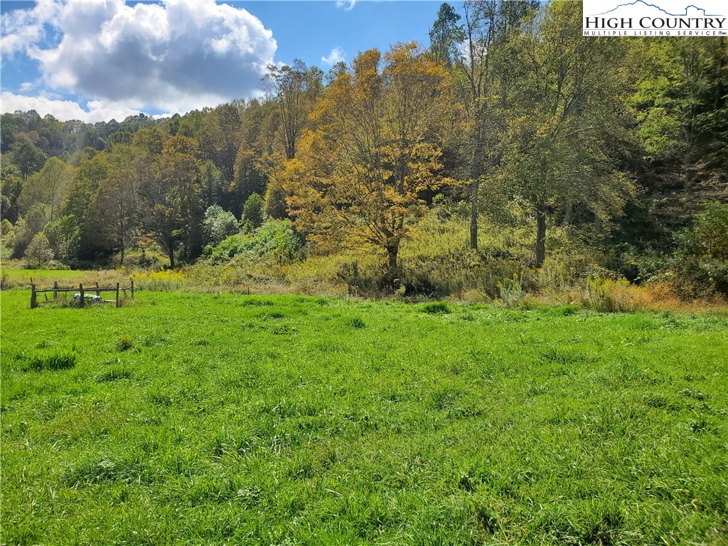 1411 Cabbage Creek Road Creston, NC 28615 - Photo 33 of 41 a view of a garden with an trees