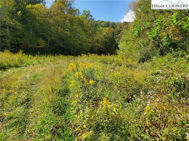 a view of a city with lush green forest