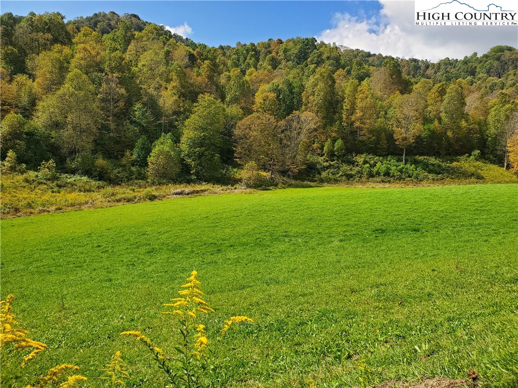 1411 Cabbage Creek Road Creston, NC 28615 - Photo 39 of 41 a view of an outdoor space and a yard