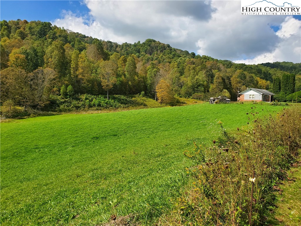 1411 Cabbage Creek Road Creston, NC 28615 - Photo 40 of 41 a view of a city with lush green forest