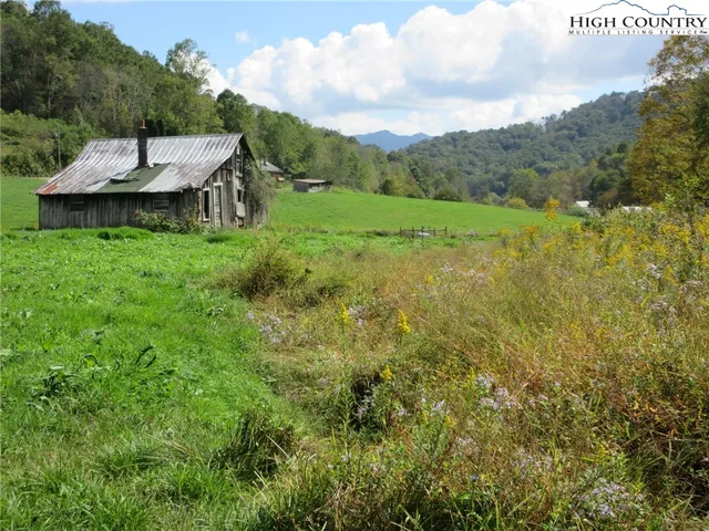 a backyard of a house with lots of green space and plants