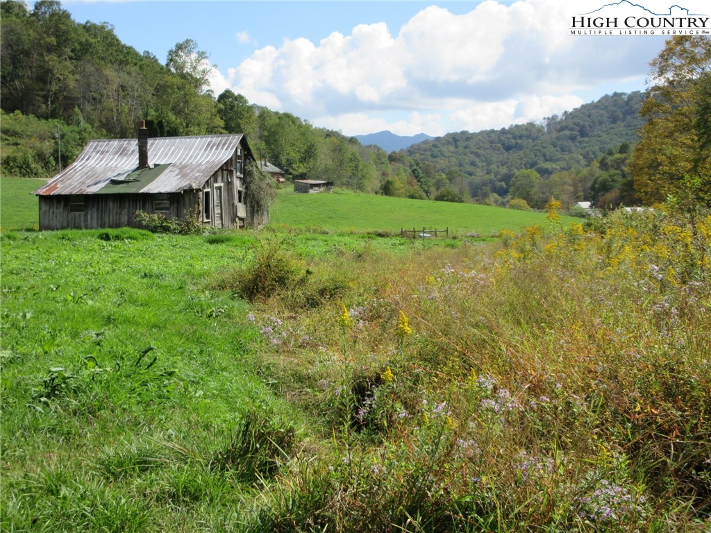 1411 Cabbage Creek Road Creston, NC 28615 - Photo 6 of 41 a backyard of a house with a table and chairs