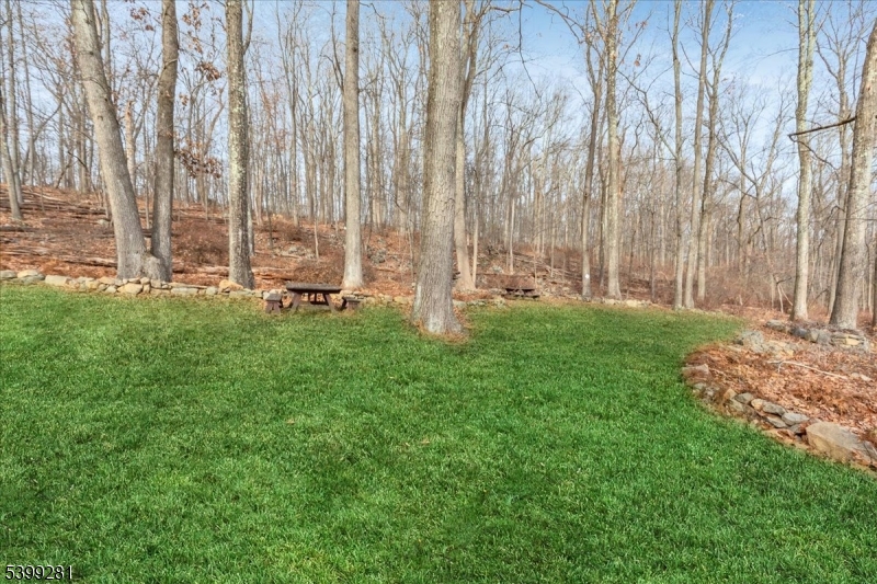 442 Little Brook Road Glen Gardner, NJ 08826 - Photo 34 of 50