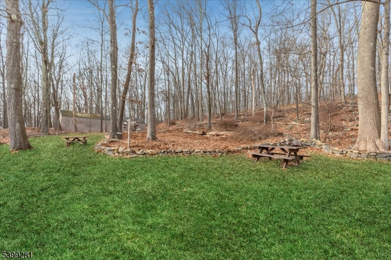 442 Little Brook Road Glen Gardner, NJ 08826 - Photo 35 of 50
