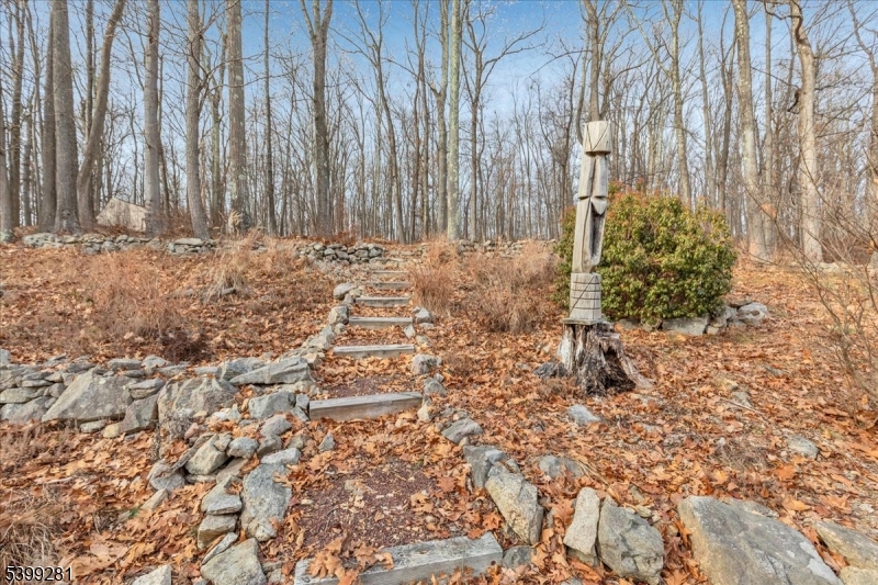 442 Little Brook Road Glen Gardner, NJ 08826 - Photo 39 of 50