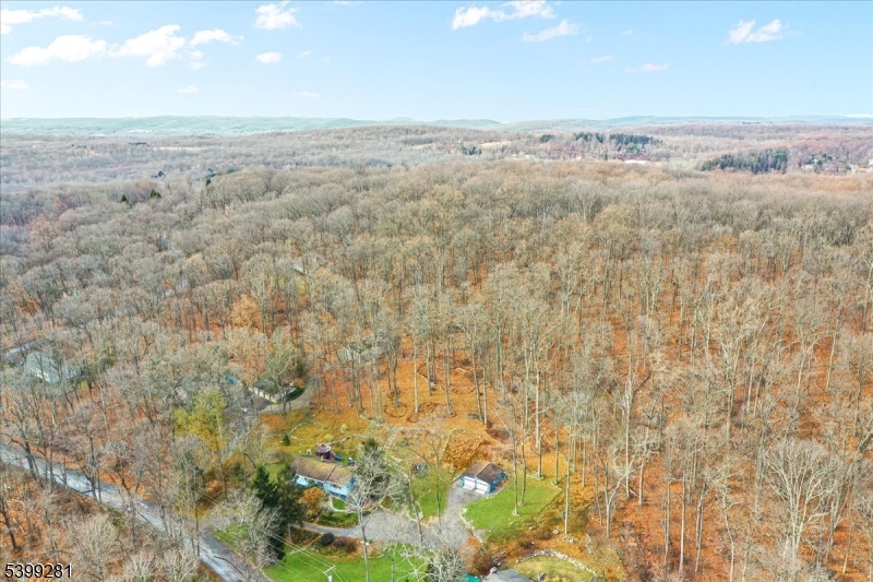 442 Little Brook Road Glen Gardner, NJ 08826 - Photo 43 of 50