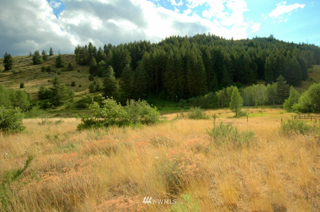 430 Rendezvous Road Winthrop, WA 98862 - Photo 11 of 22 Gallery Image 11