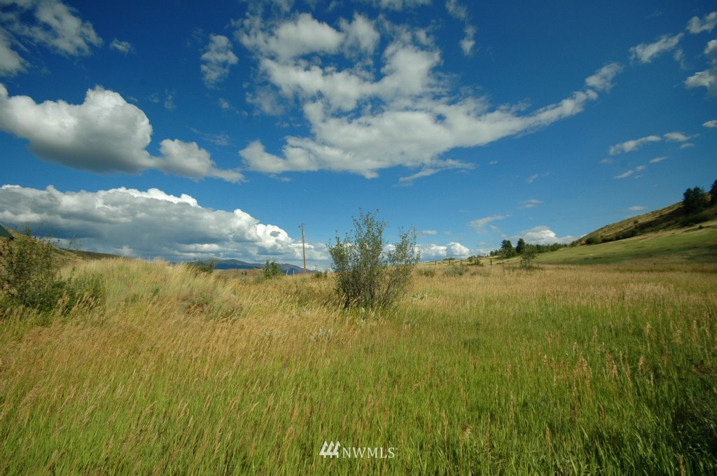 430 Rendezvous Road Winthrop, WA 98862 - Photo 12 of 22 Gallery Image 12