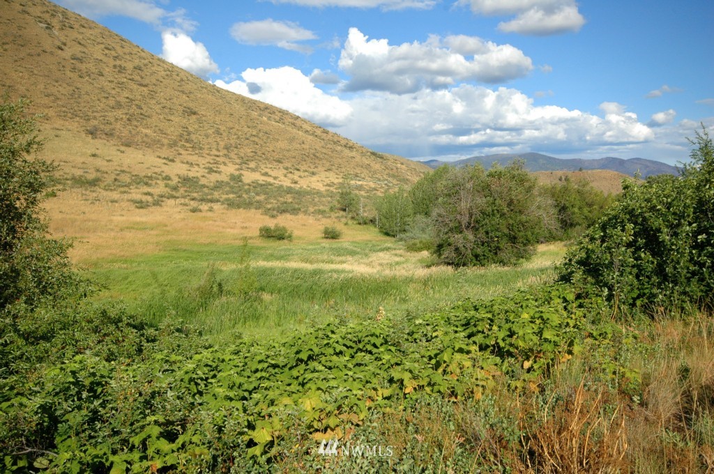 430 Rendezvous Road Winthrop, WA 98862 - Photo 15 of 22 Gallery Image 15