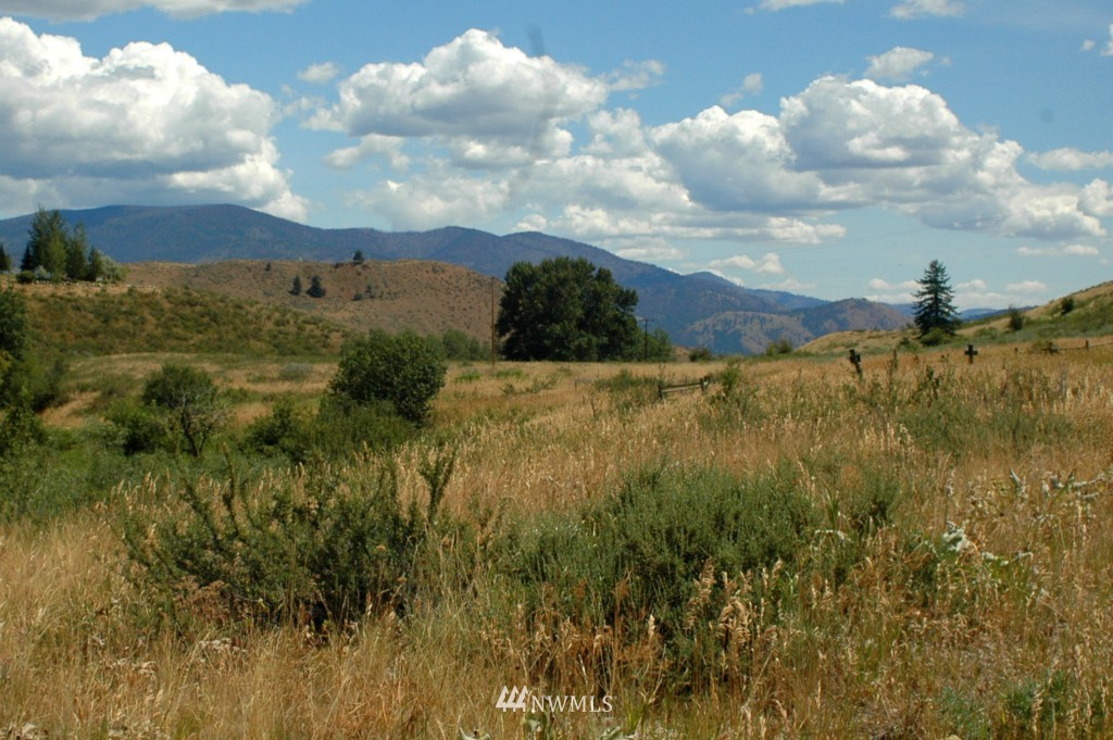 430 Rendezvous Road Winthrop, WA 98862 - Photo 18 of 22 Gallery Image 18