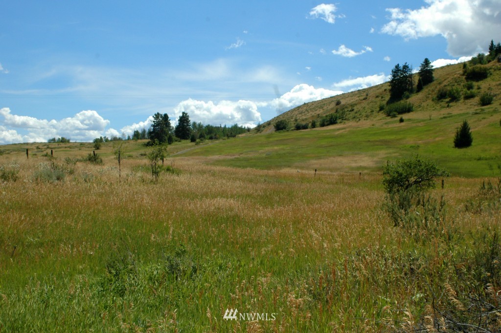 430 Rendezvous Road Winthrop, WA 98862 - Photo 19 of 22 Gallery Image 19