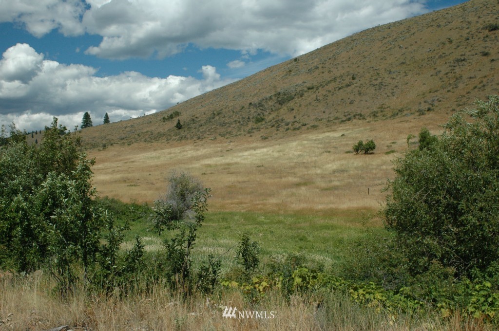 430 Rendezvous Road Winthrop, WA 98862 - Photo 21 of 22 Gallery Image 21