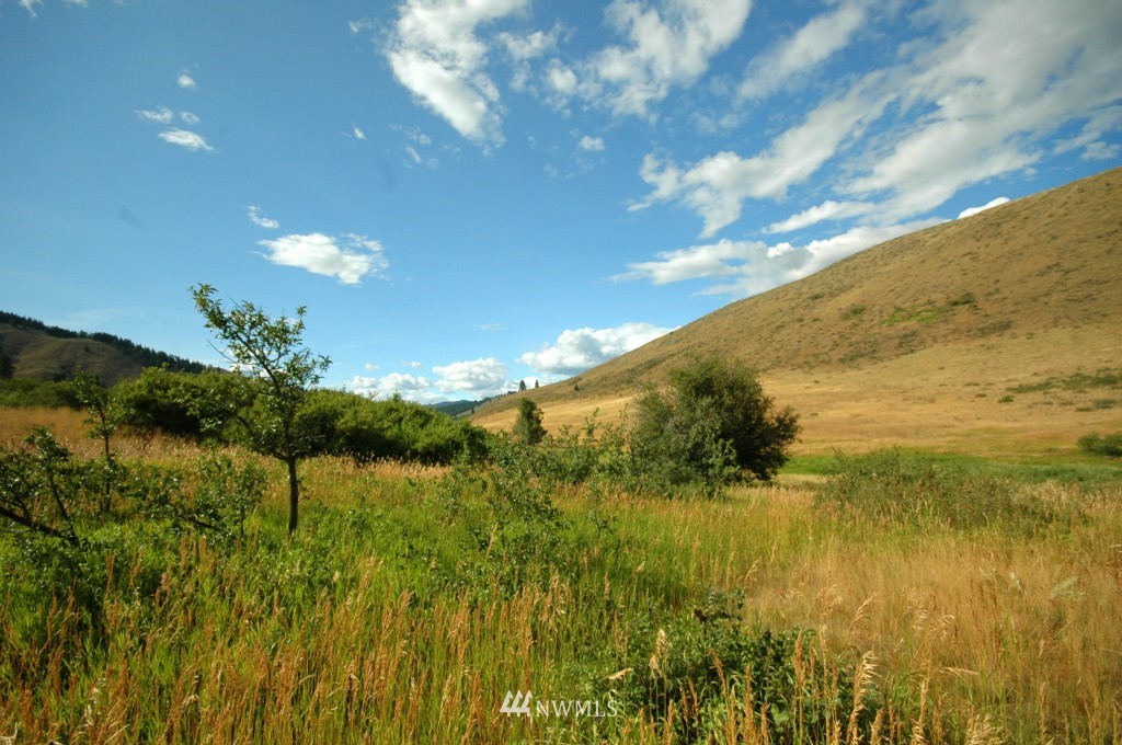 430 Rendezvous Road Winthrop, WA 98862 - Photo 8 of 22 Gallery Image 8