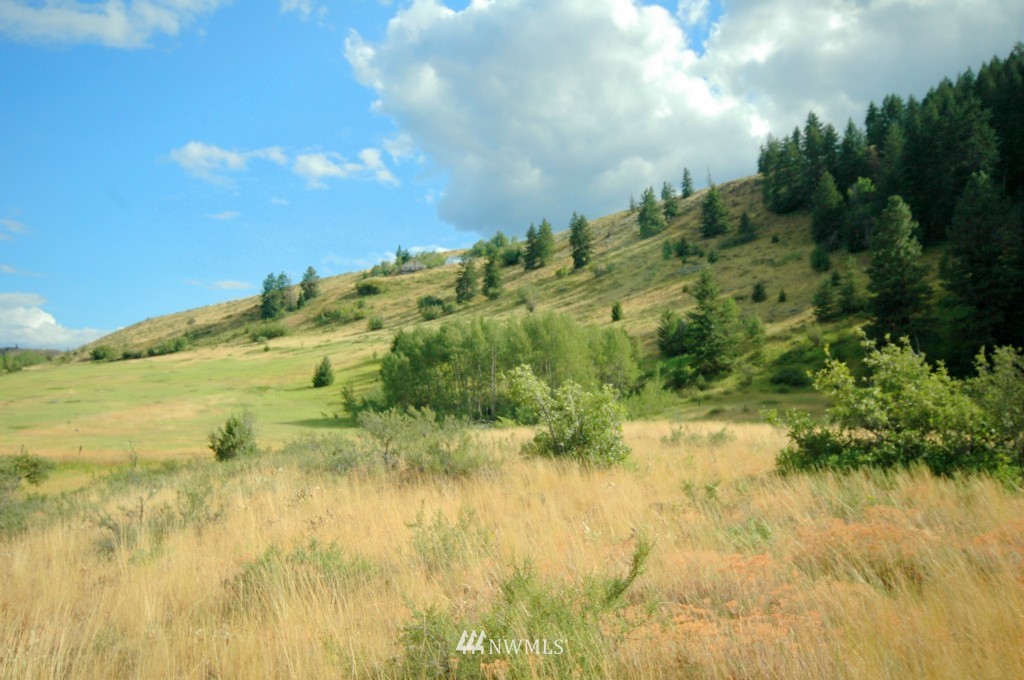 430 Rendezvous Road Winthrop, WA 98862 - Photo 9 of 22 Gallery Image 9