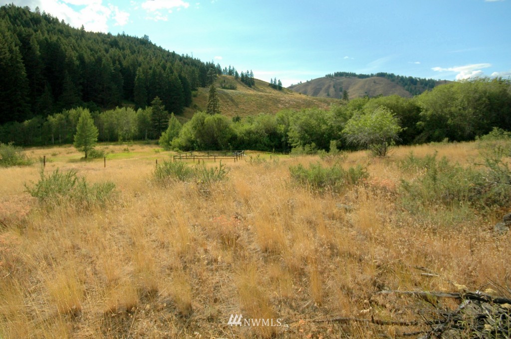 430 Rendezvous Road Winthrop, WA 98862 - Photo 10 of 22 Gallery Image 10