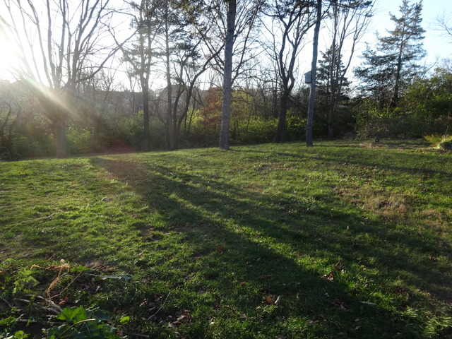18N702 Westhill Road Algonquin, IL 60102 - Photo 21 of 23