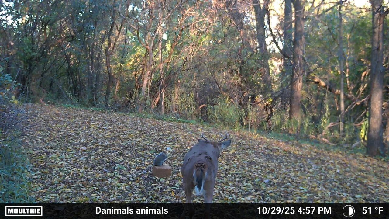 2780 Humboldt Road Green Bay, WI 54311 - Photo 48 of 51