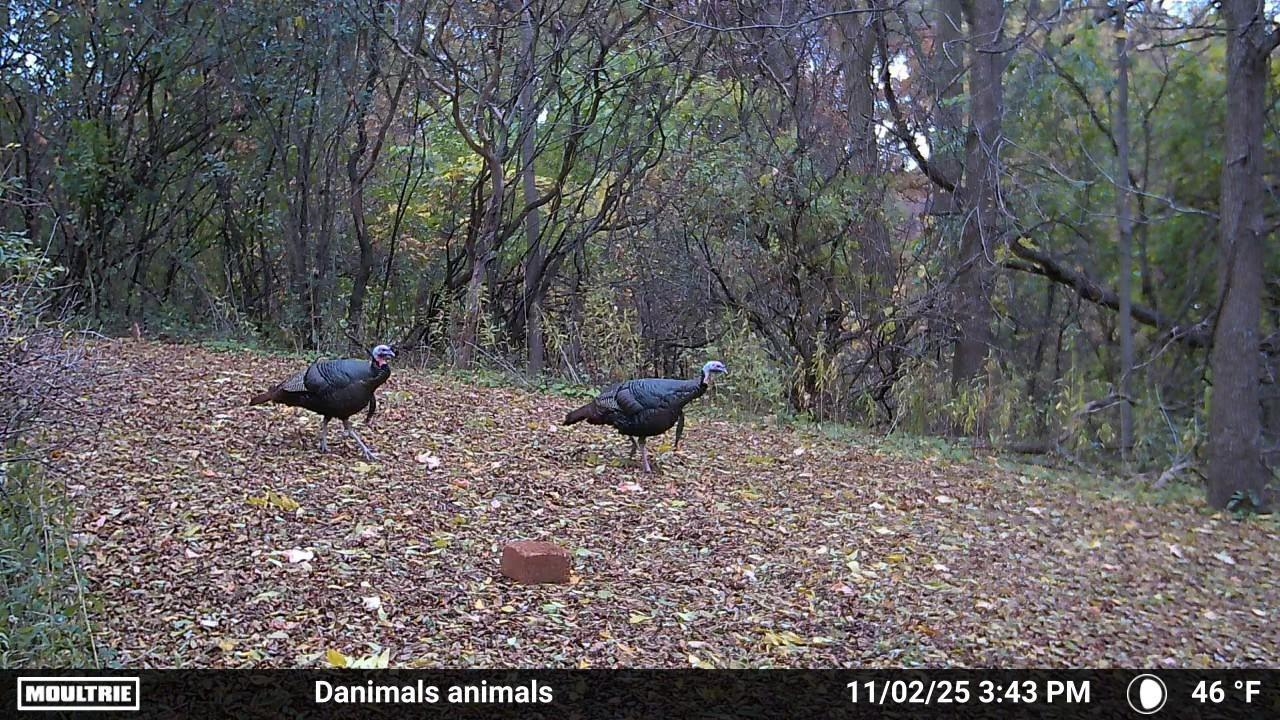 2780 Humboldt Road Green Bay, WI 54311 - Photo 51 of 51