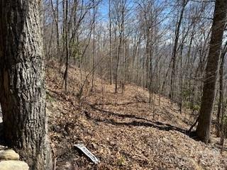 28 Angel Ridge Waynesville, NC 28785 - Photo 4 of 7