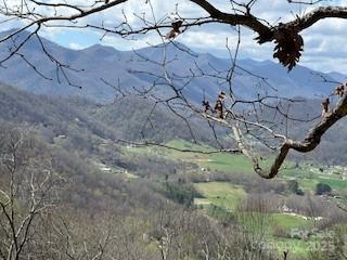 28 Angel Ridge Waynesville, NC 28785 - Photo 5 of 7